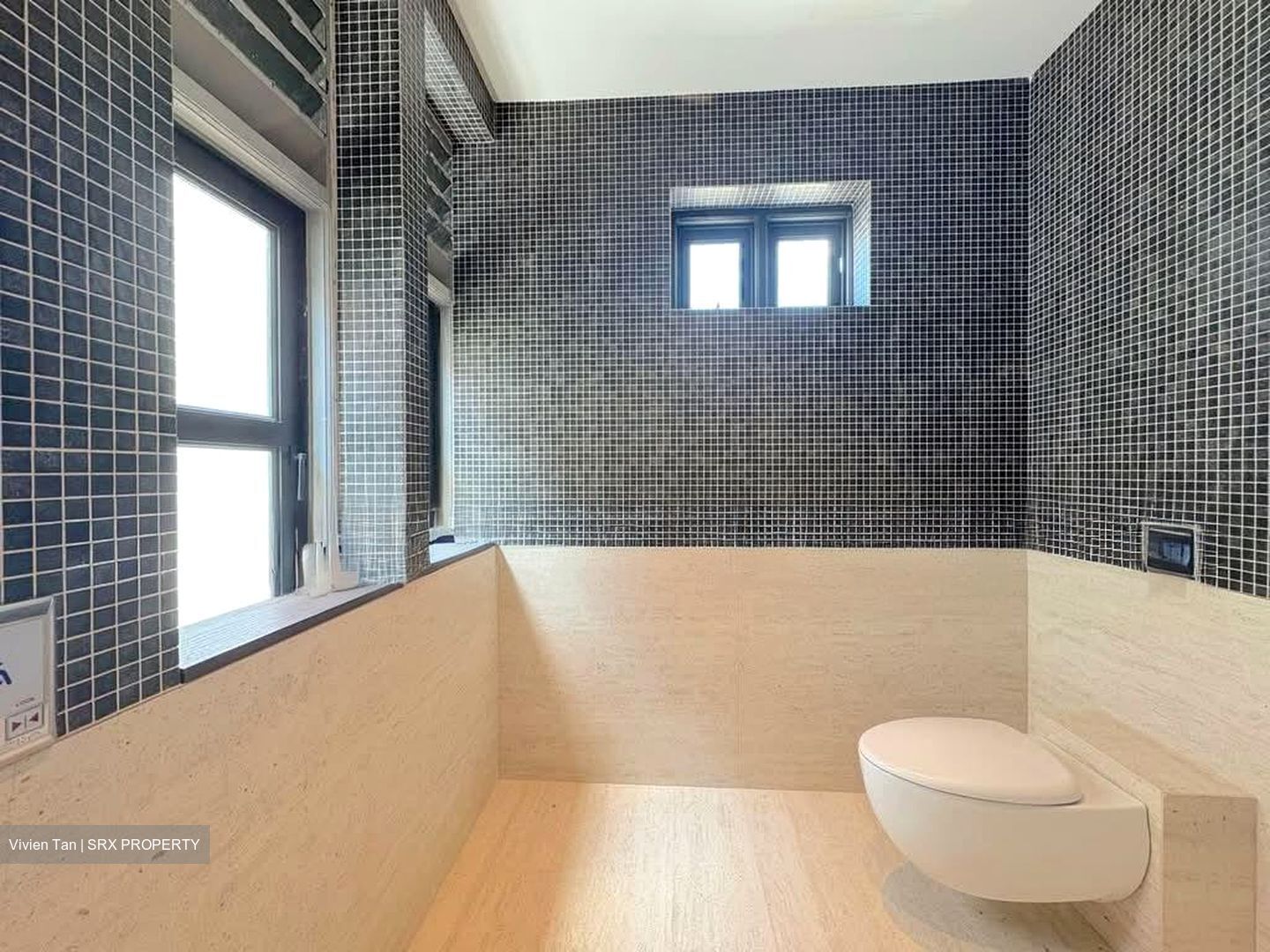 Keong Saik Road (D2), Shop House #540084161
